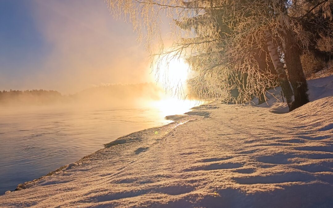 Vastaukseni Tervareitin vaalikoneeseen 18.2.2025