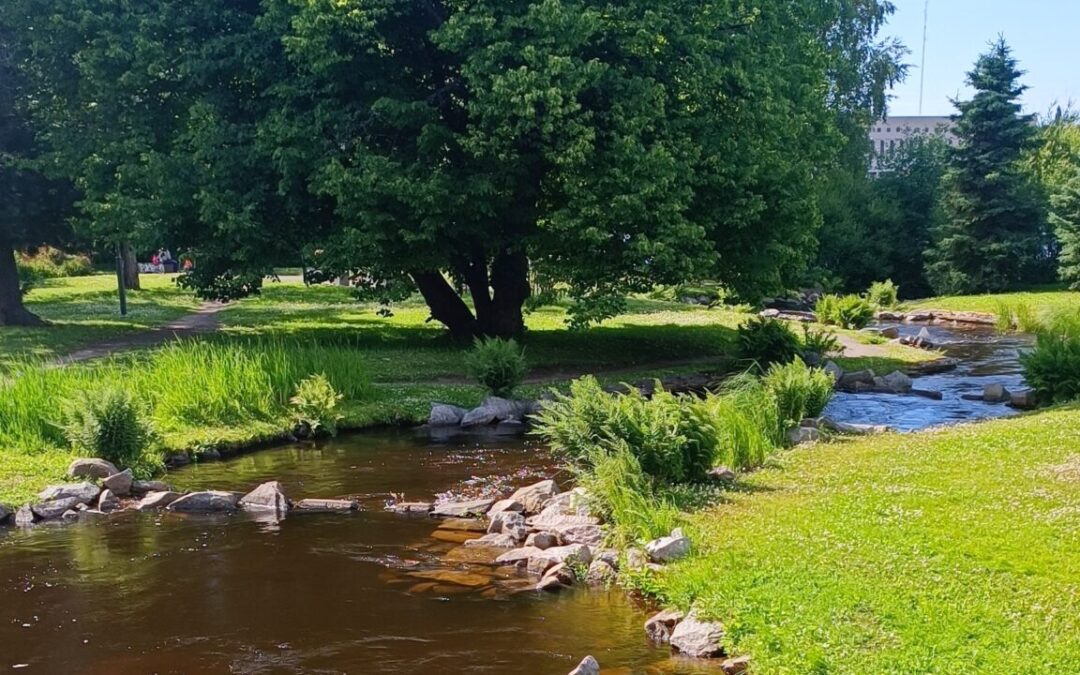 Avoin kirje maa- ja metsätalousministeri Sari Essayah’lle sekä ympäristö- ja ilmastoministeri Sari Multalalle